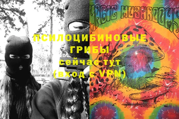 альфа пвп Новокубанск