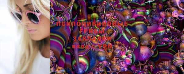 альфа пвп Новокубанск