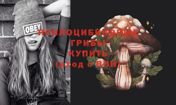 не бодяженный Новодвинск