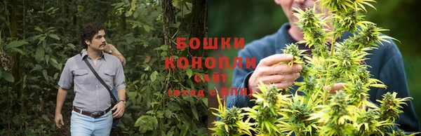 альфа пвп Новокубанск