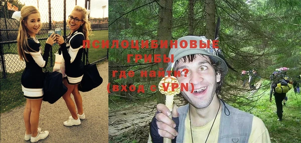 альфа пвп Новокубанск