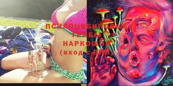 альфа пвп Новокубанск