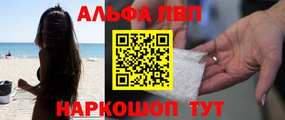 крисы Кингисепп