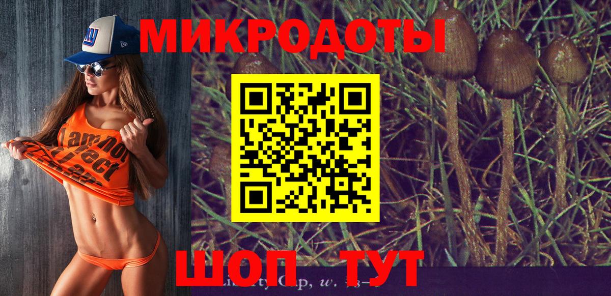 Псилоцибиновые грибы прущие грибы Прохладный
