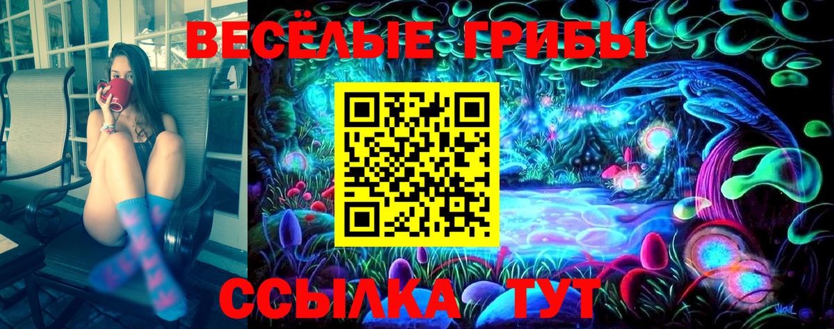 Галлюциногенные грибы Psilocybe  Прохладный 